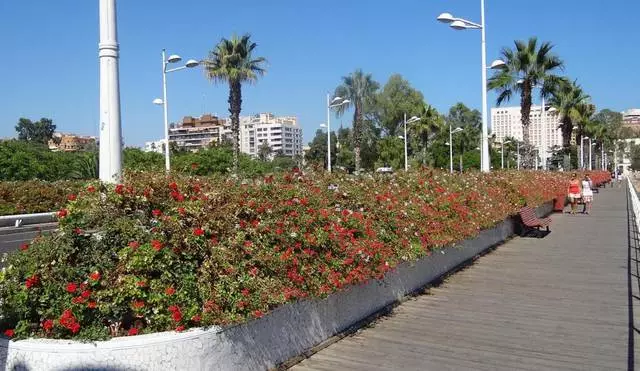 Εκπληκτική πόλη των χρωμάτων, αγάπη και πορτοκάλια! 9822_10