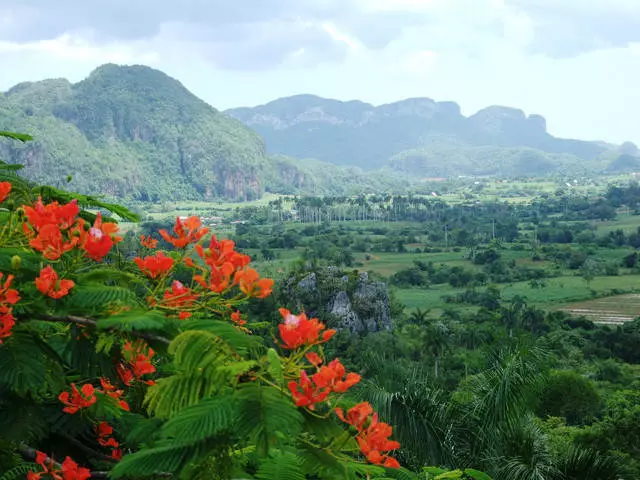 Por que os turistas escolhem Pinar del Rio?