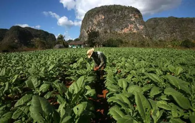 Kedu ihe kpatara ndị njem na-ahọrọ Pinar del Rio? 9910_5