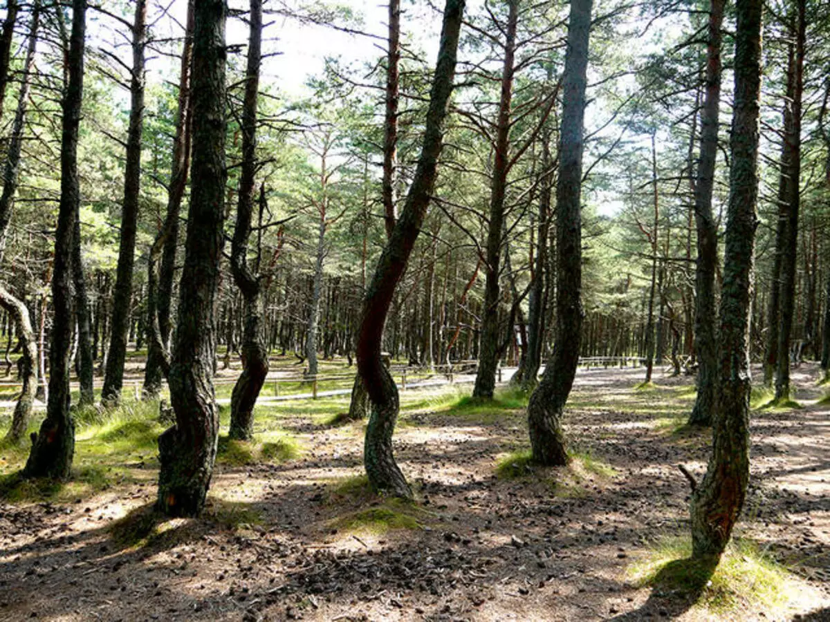 Curonian spit: 