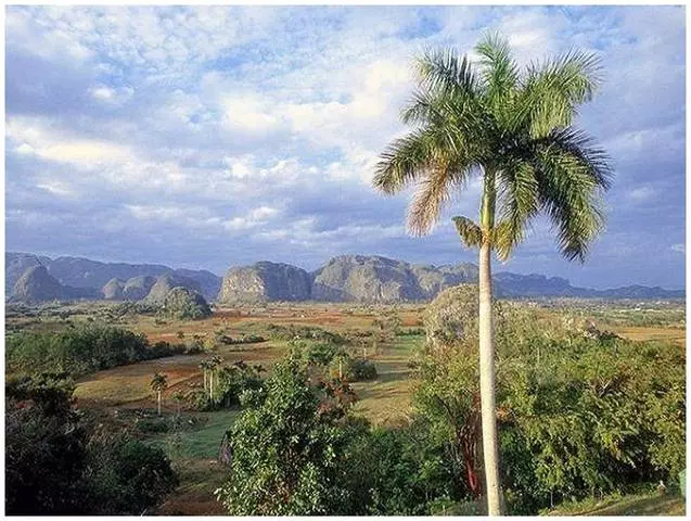 Εκδρομές στο Pinar del Rio: Τι να δείτε;