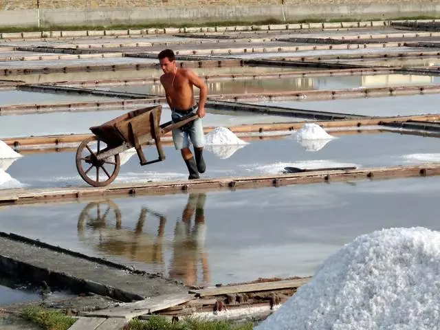 Những nơi thú vị nhất ở Pomorie. 9957_7