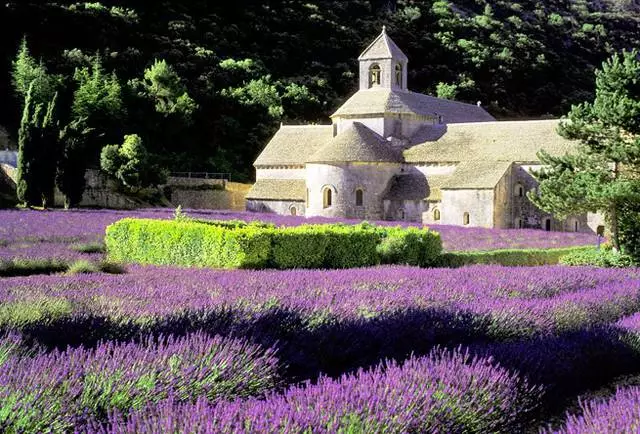 Mùa nghỉ ở Avignon. Khi nào tốt hơn là đi đến Avignon vào kỳ nghỉ?